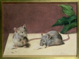 Two Mice Eating Cheese